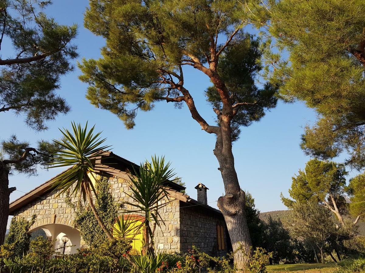 Villa Fior Di Lavanda Cisano sul Neva Exterior photo